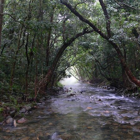 Heritage Lodge In The Daintree Cape Tribulation Εξωτερικό φωτογραφία