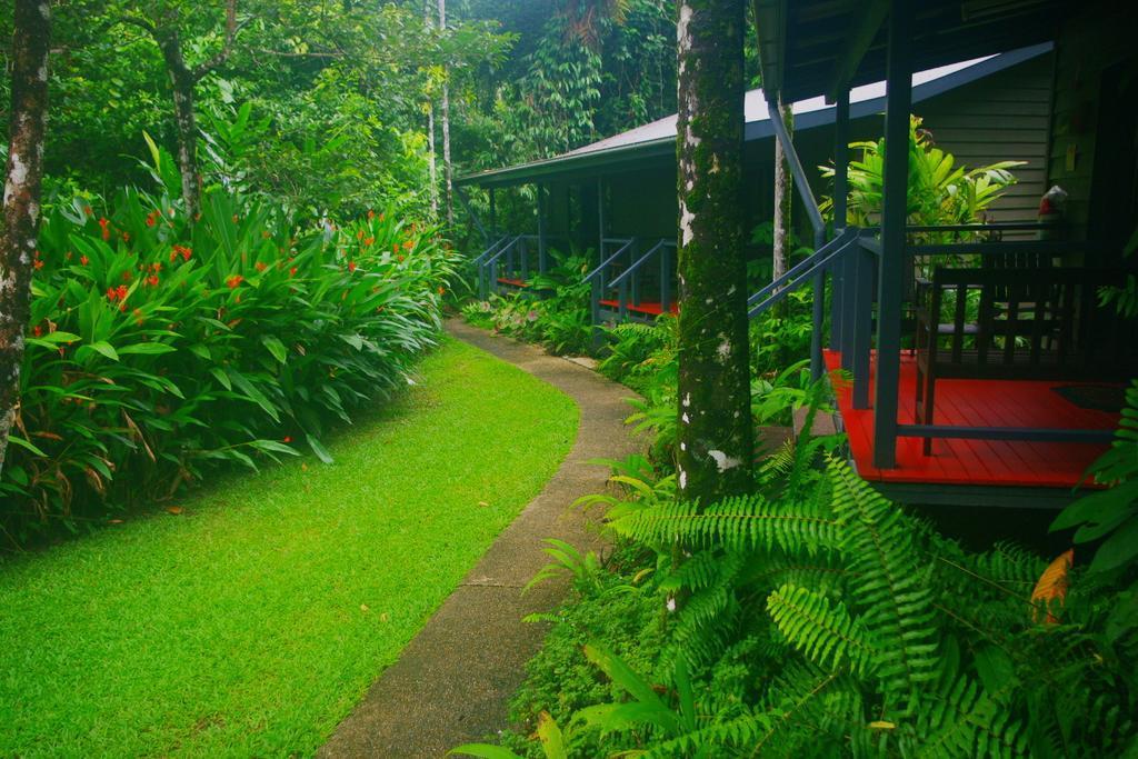 Heritage Lodge In The Daintree Cape Tribulation Εξωτερικό φωτογραφία