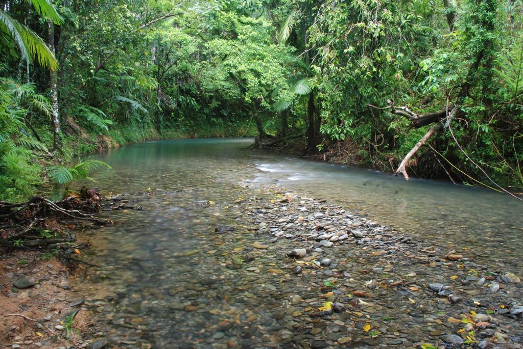 Heritage Lodge In The Daintree Cape Tribulation Εξωτερικό φωτογραφία
