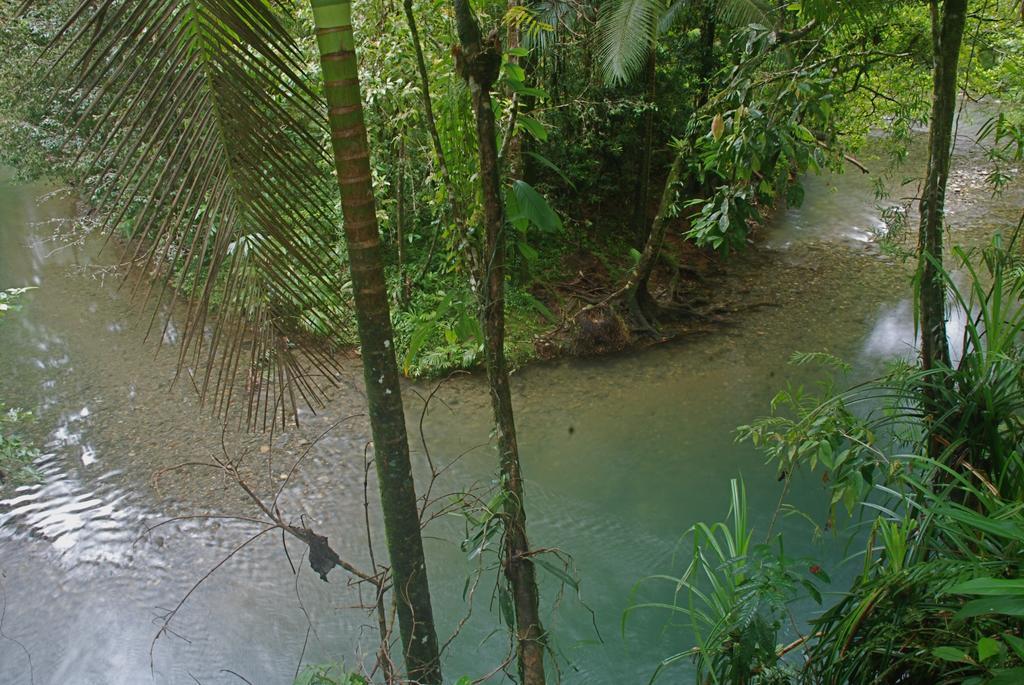 Heritage Lodge In The Daintree Cape Tribulation Εξωτερικό φωτογραφία