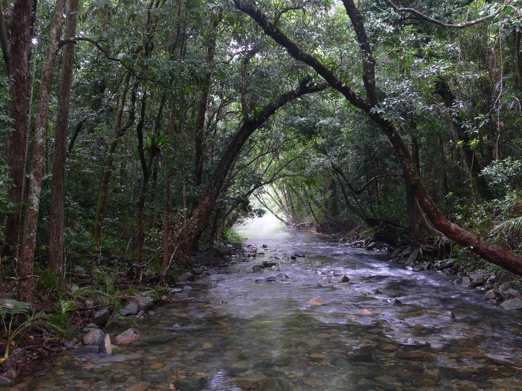 Heritage Lodge In The Daintree Cape Tribulation Εξωτερικό φωτογραφία