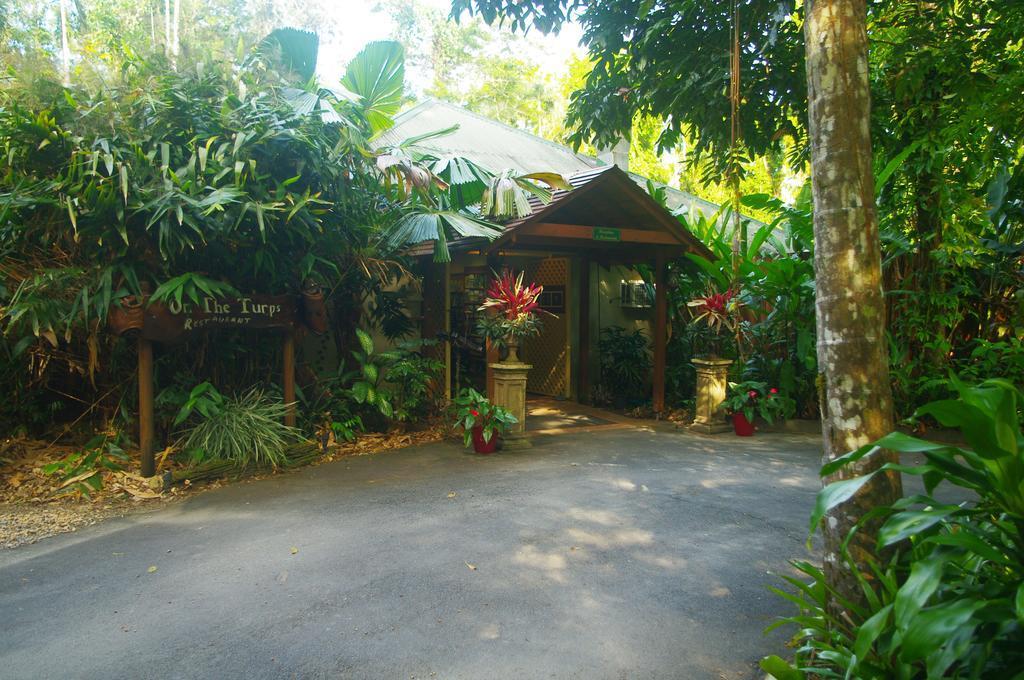 Heritage Lodge In The Daintree Cape Tribulation Εξωτερικό φωτογραφία